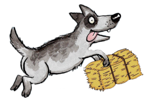 animal food donations