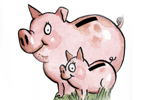 animal sanctuary donations